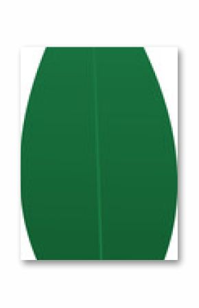 Stylized green leaf is floating in flat vector graphic with central vein, transparent background