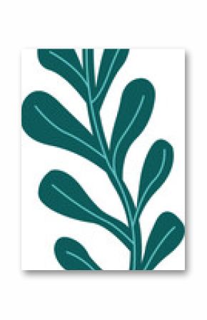 Stylized botanical sprig is floating on transparent background, highlighting elongated oval leaves