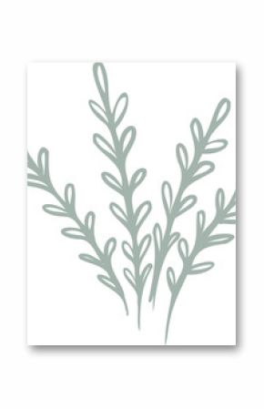 Abstract vector plant is showing slender stems with teardrop leaves, transparent background