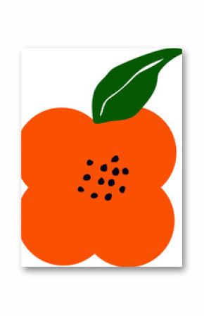 Flat vector is showing orange cross-section with seed dots and green leaf on transparent background
