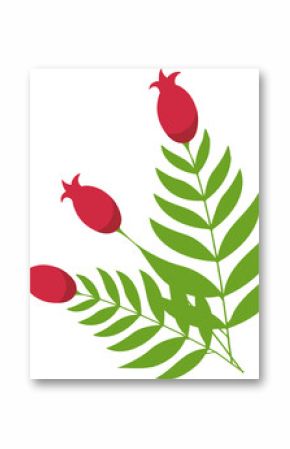 Flat design is showing botanical branch on transparent background featuring green leaves, red buds