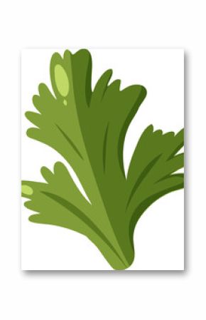 Cluster of green herb leaves are floating against transparent background in flat vector style
