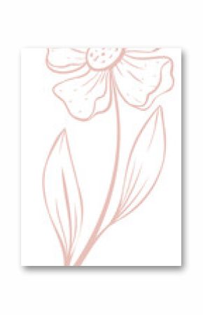 Stylized flower is being shown in muted pink lineart on transparent backdrop with petals and leaves