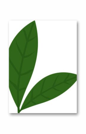 Stylized cluster of three green leaves is being shown in flat design, with transparent background