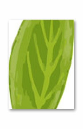 Single green leaf is being shown in flat design, with textured vein structure, transparent backdrop