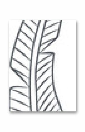 Overlapping tropical leaves are floating on transparent background in flat vector design with veins