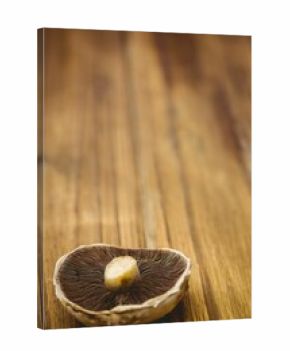 Fresh mushroom on wooden background