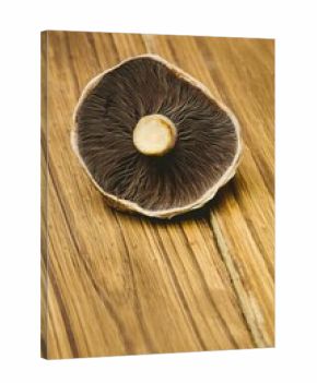 Fresh mushroom on wooden background