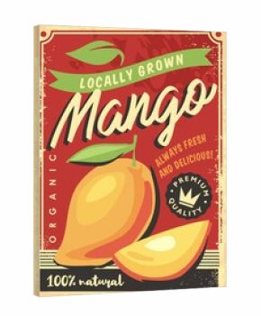 Mango locally grown tropical fruit decorative ad design for fruit market. Mango fruits retro vector poster template. Fresh organic food.