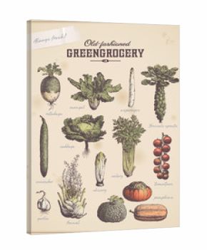 greengrocery 3 - set of vegetable illustrations