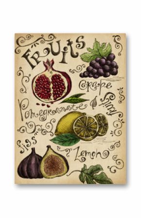 Set of different hand drawn fruits and vegetables. Art print for cafe or restaurant