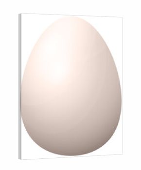 Photo Realistic 3d Natural Egg Illustration On Transparent Background