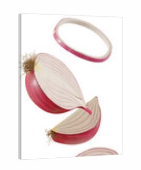 3d render falling red onion slice