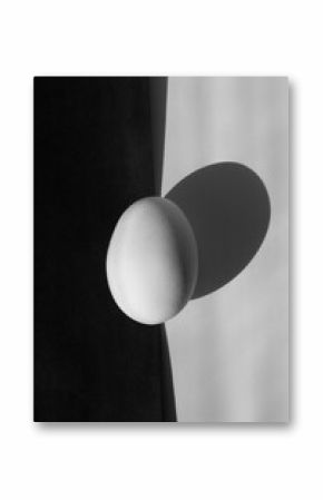 still life with egg