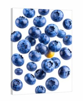 Flying Blueberries Scatter