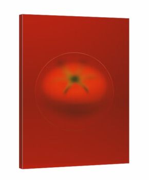 Tomato Frosted Glass Red Background Soft Focus 3d illustration