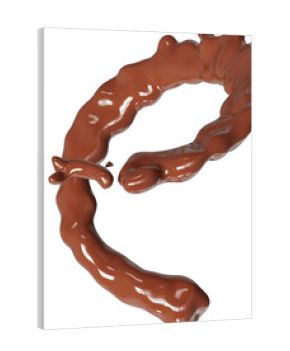 Realistic liquid chocolate splash isolated clipart, creamy richness, brown splashing jet with droplets mid-air 3d render