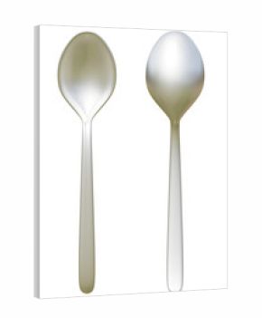 3D Illustrations of Two Spoons - Front and Back Angles