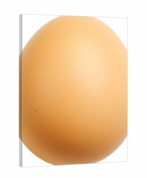 Egg isolated on transparent background. PNG