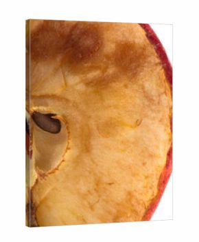 Close-up of apple rotting 