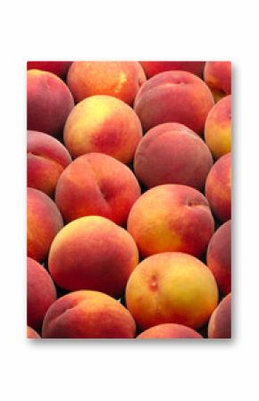 pêches