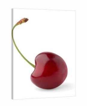 Isolated cherry. One sweet cherry isolated on white background