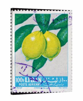 Postage stamp Lebanon 1962 Lemons, Fruit Tree