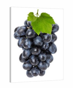 juicy grapes isolated on the white background