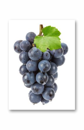 purple grape isolated on the white background
