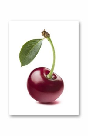 Single wild cherry isolated on white background