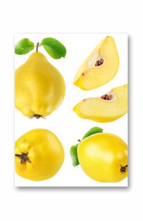 Quince fruits collection