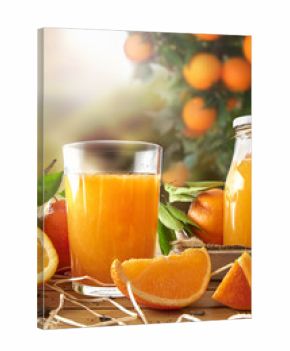 Glass of orange juice on a wooden in field vertical