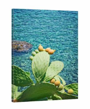 Prickly pears (Indian fig opuntia) on blue Mediterranean sea