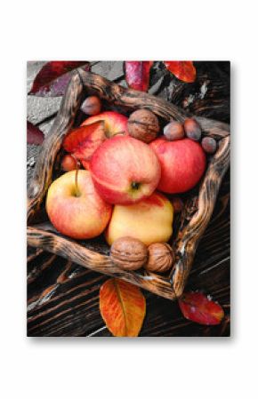 ripe autumn apples
