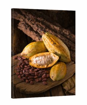 Cacao fruit, raw cacao beans, Cocoa pod on wooden background