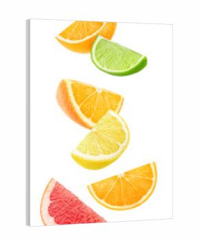 Isolated citrus fruits wedges. Floating pieces of orange, lemon, lime and grapefruit isolated on white background with clipping path
