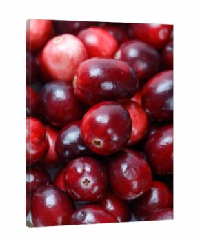 red cranberry fruit