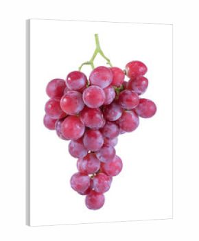 red grapes isolated on white background