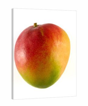 mangue 2