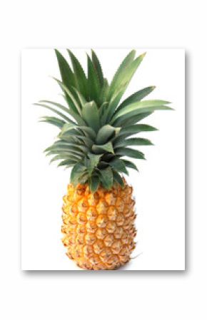 ananas "Victoria" de l'île de la Réunion