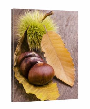 castagne con riccio
