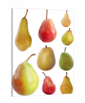 variétés de poires