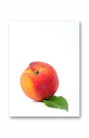 pêche