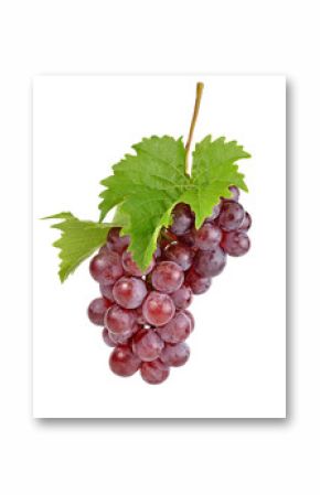 red grapes isolated on white background