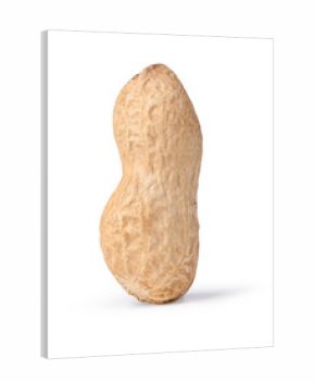 peanuts
