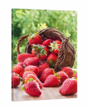 Fresh strawberries falling from a basket