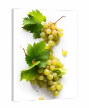 wine list background  sweet white grapes and leaf