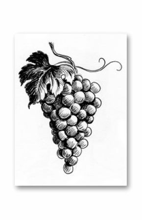Bunch of grapes