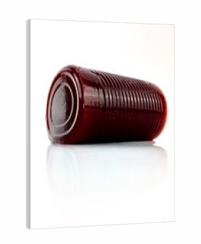 Canned, jellied cranberry sauce isolated on a white background