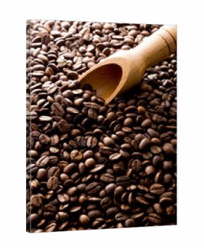 コーヒー豆  